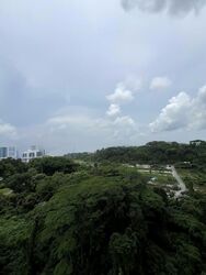 Normanton Park (D5), Apartment #604329171
